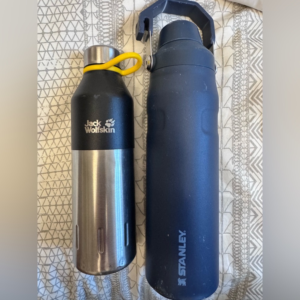 Lot of 2 insulated Water Bottles